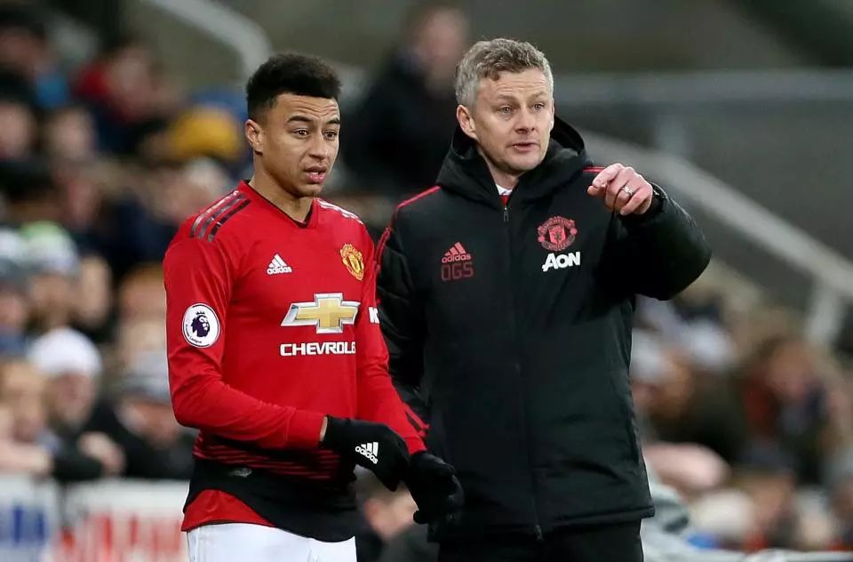 了众多粉丝 了众多粉丝